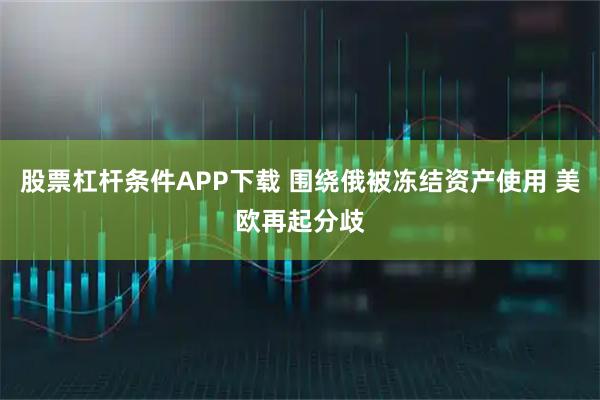 股票杠杆条件APP下载 围绕俄被冻结资产使用 美欧再起分歧