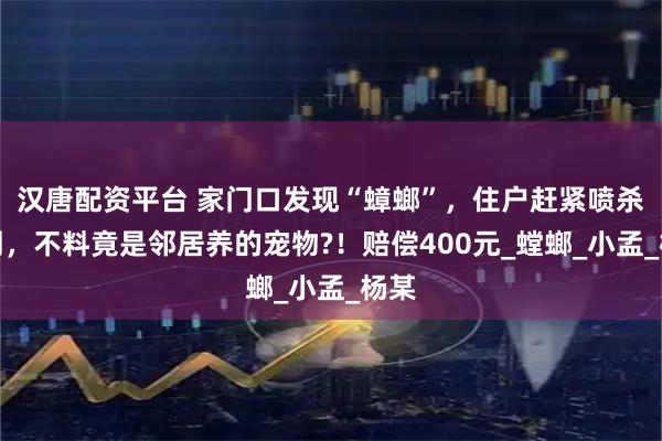 汉唐配资平台 家门口发现“蟑螂”，住户赶紧喷杀虫剂，不料竟是邻居养的宠物?！赔偿400元_螳螂_小孟_杨某